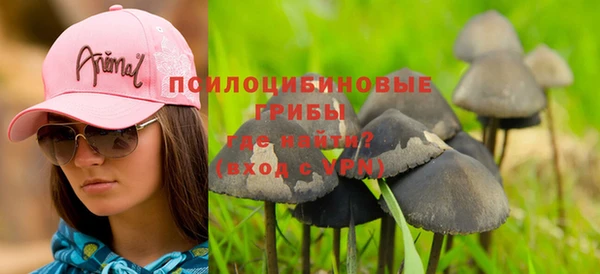 мдпв Волоколамск