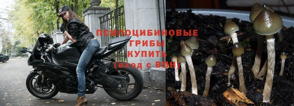 ГАЛЛЮЦИНОГЕННЫЕ ГРИБЫ Володарск