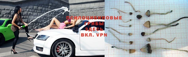 ГАЛЛЮЦИНОГЕННЫЕ ГРИБЫ Володарск