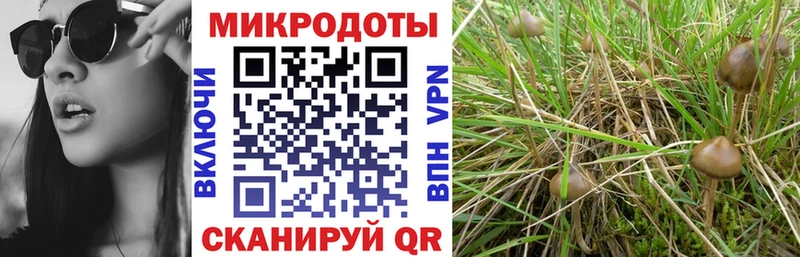 Галлюциногенные грибы мицелий  Купить  Кувшиново 